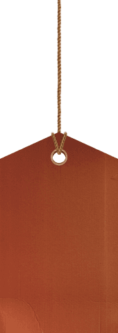 Blank Cardboard Price Tag on Transparent Background - Download Free Stock Videos Pikwizard.com