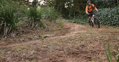 Man Mountain Biking on Scenic Dirt Trail