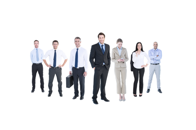 Diverse Business Professionals Team on Transparent Background - Download Free Stock Videos Pikwizard.com