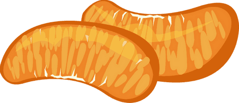 Juicy citrus segments on transparent background flat design