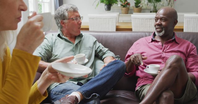 Group of Senior Friends Having Coffee Chatting and Smiling - Download Free Stock Images Pikwizard.com