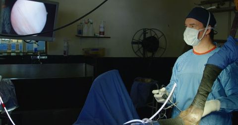 Veterinarian performing surgery on horse in modern clinic