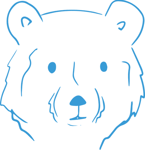 minimalist blue line drawing of bear head on transparent background - Download Free Stock Videos Pikwizard.com