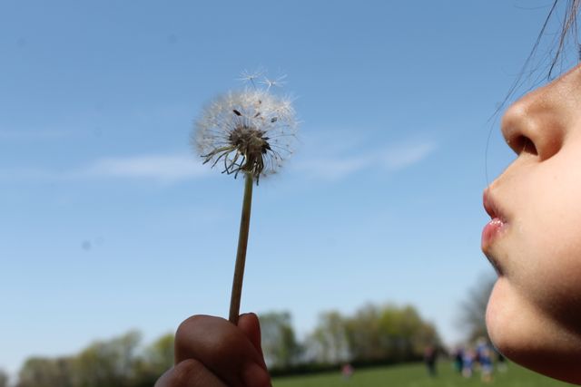 Child blowing dandelion seeds on a sunny day, showing the joy and innocence of childhood. Perfect for use in campaigns related to nature, outdoor activities, children's well-being, joy, and playful moments.