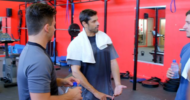 Fitness enthusiasts having conversation in gym between workouts - Download Free Stock Images Pikwizard.com