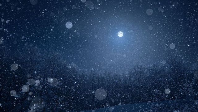 Moonlit snowfall creating bokeh over snow-covered forest clearing at night