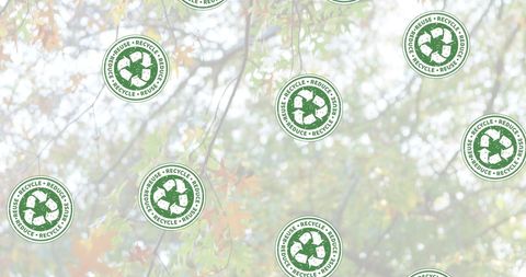 Recycling icons overlaying scenic forest backdrop