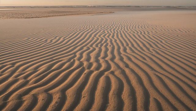 Golden-hour rippled sand ridges casting long shadows across tidal flat landscape