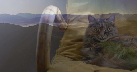 Long-haired tabby cat lounging on cushion with misty mountain double exposure