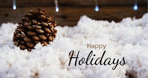 Festive Pinecone on Snow with Holiday Greetings - Download Free Stock Images Pikwizard.com