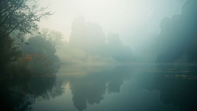 Serene Lake with Tree Silhouettes Reflecting in Foggy Atmosphere