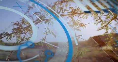 Futuristic Technology Network Visualization Interface with Nature Elements