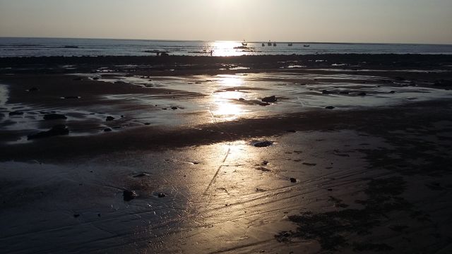 Golden Sunset Over Calm Ocean with Reflective Wet Sand - Download Free Stock Images Pikwizard.com