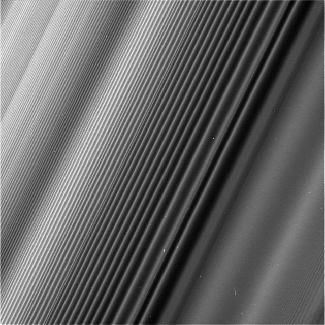 This view from NASA's Cassini spacecraft shows a wave structure in Saturn's rings known as the Janus 2:1 spiral density wave. Resulting from the same process that creates spiral galaxies, spiral density waves in Saturn's rings are much more tightly wound. In this case, every second wave crest is actually the same spiral arm which has encircled the entire planet multiple times.  This is the only major density wave visible in Saturn's B ring. Most of the B ring is characterized by structures that dominate the areas where density waves might otherwise occur, but this innermost portion of the B ring is different.  The radius from Saturn at which the wave originates (toward lower-right in this image) is 59,796 miles (96,233 kilometers) from the planet. At this location, ring particles orbit Saturn twice for every time the moon Janus orbits once, creating an orbital resonance. The wave propagates outward from the resonance (and away from Saturn), toward upper-left in this view. For reasons researchers do not entirely understand, damping of waves by larger ring structures is very weak at this location, so this wave is seen ringing for hundreds of bright wave crests, unlike density waves in Saturn's A ring.  The image gives the illusion that the ring plane is tilted away from the camera toward upper-left, but this is not the case. Because of the mechanics of how this kind of wave propagates, the wavelength decreases with distance from the resonance. Thus, the upper-left of the image is just as close to the camera as the lower-right, while the wavelength of the density wave is simply shorter.  This wave is remarkable because Janus, the moon that generates it, is in a strange orbital configuration. Janus and Epimetheus share practically the same orbit and trade places every four years. Every time one of those orbit swaps takes place, the ring at this location responds, spawning a new crest in the wave. The distance between any pair of crests corresponds to four years' worth of the wave propagating downstream from the resonance, which means the wave seen here encodes many decades' worth of the orbital history of Janus and Epimetheus. According to this interpretation, the part of the wave at the very upper-left of this image corresponds to the positions of Janus and Epimetheus around the time of the Voyager flybys in 1980 and 1981, which is the time at which Janus and Epimetheus were first proven to be two distinct objects (they were first observed in 1966).  Epimetheus also generates waves at this location, but they are swamped by the waves from Janus, since Janus is the larger of the two moons.  This image was taken on June 4, 2017, with the Cassini spacecraft narrow-angle camera. The image was acquired on the sunlit side of the rings from a distance of 47,000 miles (76,000 kilometers) away from the area pictured. The image scale is 1,730 feet (530 meters) per pixel. The phase angle, or sun-ring-spacecraft angle, is 90 degrees.  https://photojournal.jpl.nasa.gov/catalog/PIA21627