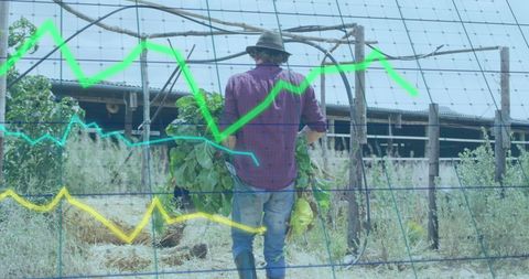 Farmer Analyzing Crop Yield with Financial Data Interface