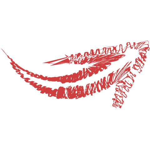 Red Arrow Illustration on Transparent Background for Design Projects - Download Free Stock Videos Pikwizard.com