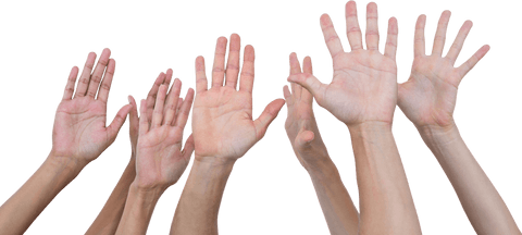 Diverse Raised Hands on Transparent Background Isolated - Download Free Stock Videos Pikwizard.com