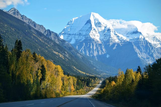 Depicts a scenic highway stretching towards a majestic snow-capped mountain under a clear blue sky. Tall trees line both sides of the road, displaying vibrant autumn colors. Perfect for advertisements related to travel, road trips, nature tourism, and outdoor adventures.
