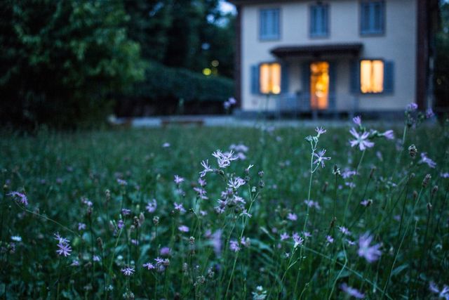 Warm glowing windows of a cozy house are seen in the background behind a serene wildflower meadow at dusk. Ideal for concepts related to home comfort, rural living, peace, tranquility, nature. Useful for advertisements, blogs, articles, or websites emphasizing serene countryside life, home comforts, and natural beauty.