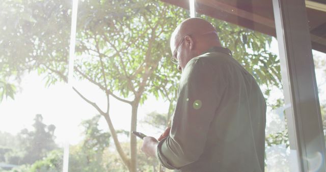 Man Standing Near Large Window Using Smartphone in Bright Sunlight - Download Free Stock Images Pikwizard.com