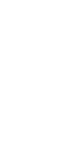Silhouette of Sports Woman on Transparent Background
