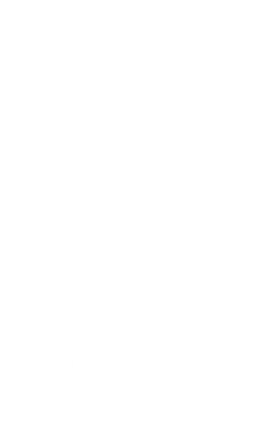 Transparent Silhouette of a Woman Holding a Gym Ball - Download Free Stock Videos Pikwizard.com