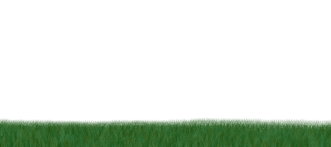 Realistic Grass with Transparent Background for Design and Nature Projects - Download Free Stock Videos Pikwizard.com