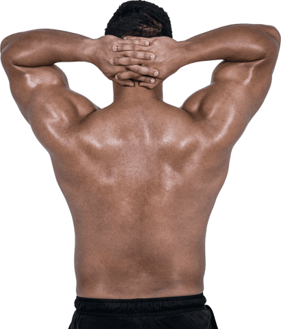 Transparent Muscular Man Flexing Back Muscles - Download Free Stock Videos Pikwizard.com