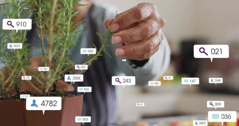 Senior woman trimming rosemary on kitchen counter with social media overlay metrics