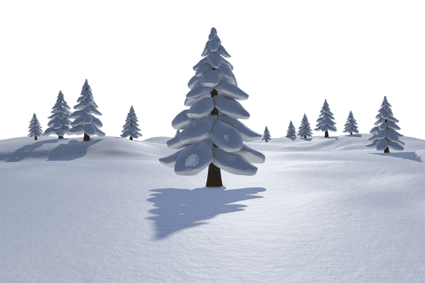 scenic transparent winter wonderland with snowy fir trees - Download Free Stock Videos Pikwizard.com