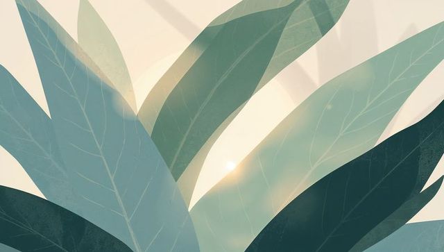 Sunlight Streaming Through Lush Botanical Canopy