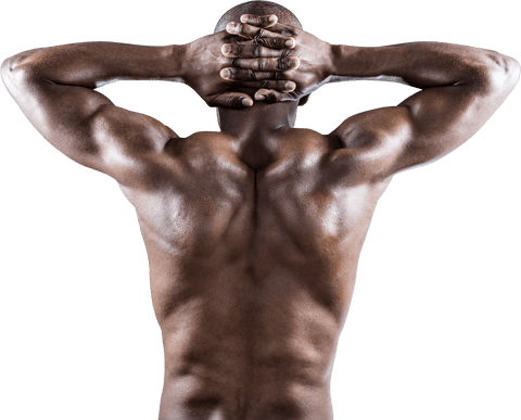 Transparent Muscular Athlete Stretching Back Muscles