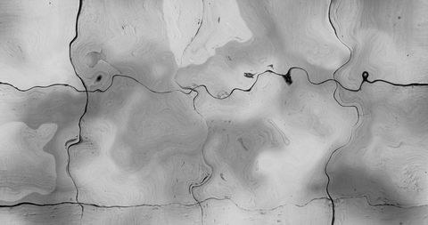 Digital Liquid Texture Background in Grey Hues - Download Free Stock Images Pikwizard.com