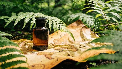 Resting amber apothecary bottle on aged world map amid fern-covered forest floor