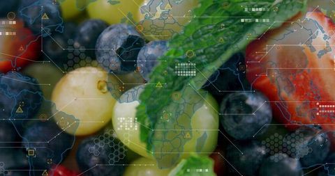 Fresh mixed berries with futuristic hud overlay mapping global food data and supply