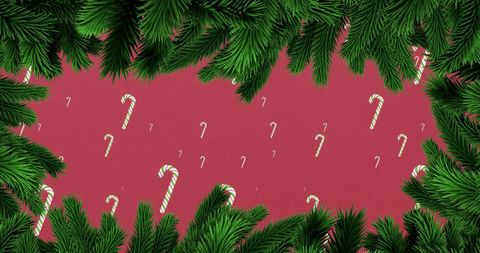 Festive Fir Branches with Falling Candy Canes on Red Background - Download Free Stock Images Pikwizard.com
