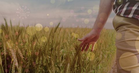Man Walking Through Meadow with Festive Light Overlay