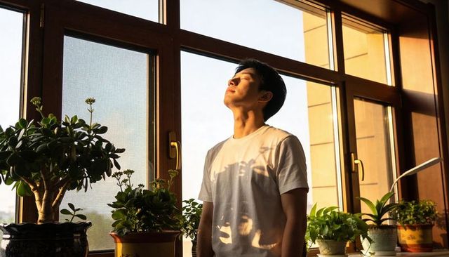 Young man basking in golden sunlight at wooden window with houseplants and succulents