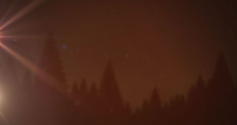 Mysterious Night Sky with Shooting Star and Forest Silhouettes - Download Free Stock Images Pikwizard.com