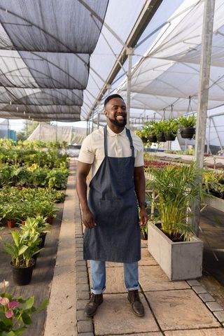 African american gardener wearing denim apron smiling in greenhouse plant nursery