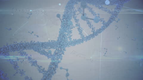 Digital DNA Strand with Network Connections Animation