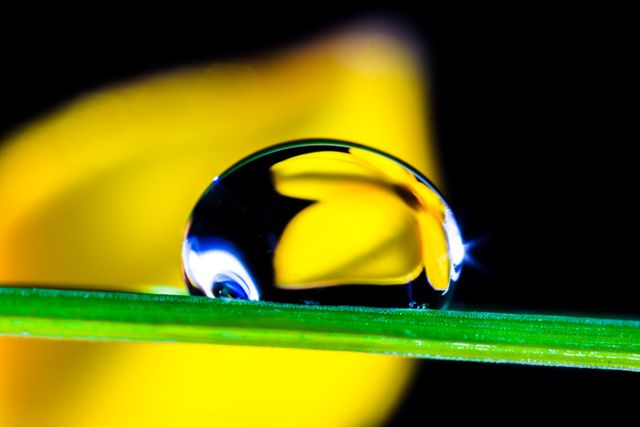 Magnified detail of a water droplet resting on a green grass blade, capturing a reflection of a yellow backdrop. Useful for themes of nature, beauty in small details, freshness, and environmental concepts.