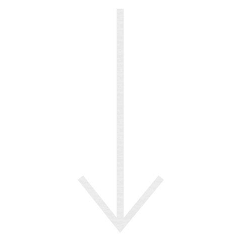 White Arrow Icon on Transparent Background for Directional Designs - Download Free Stock Videos Pikwizard.com