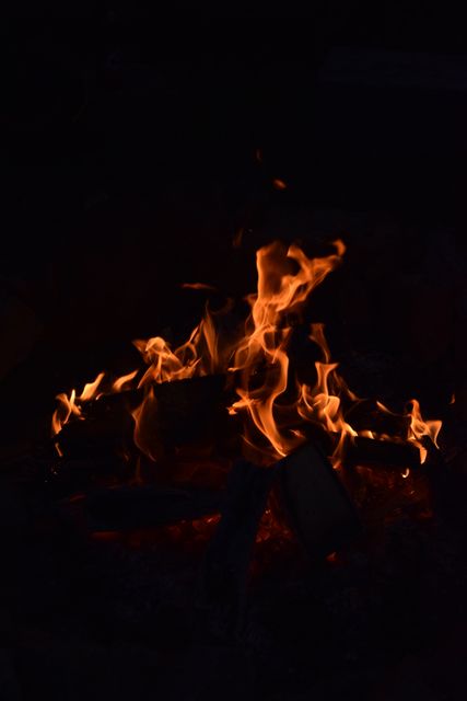 Barbecue brand burn campfire - Download Free Stock Photos Pikwizard.com