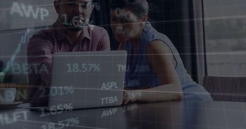 Dynamic Financial Analysis with Professionals at Work