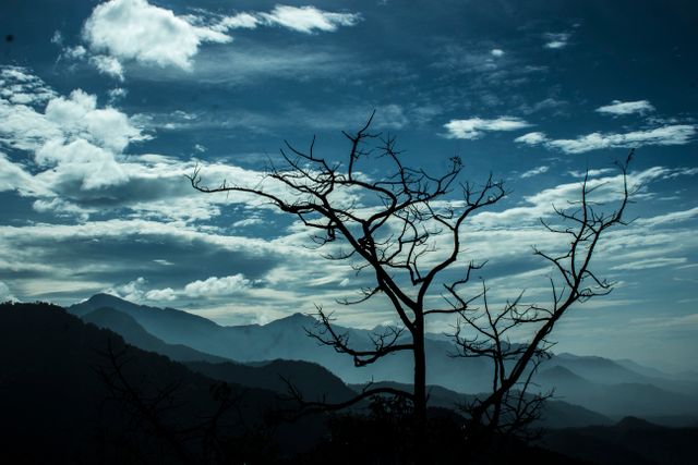Silhouette of a leafless tree at dusk in front of majestic, layered mountains. Sky dotted with soft, scattered clouds. Ideal for illustrating themes of tranquility, solitude, and natural beauty. Excellent for travel blogs, environmental presentations, or artistic prints intended to evoke serene mindfulness.
