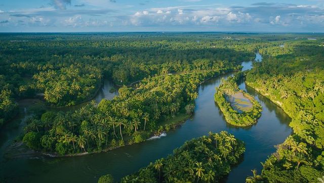 Winding tropical river cutting through dense palm canopy with sandbar islands, aerial