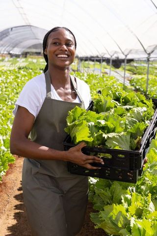 African American Woman in Greenhouse Holding Organic Lettuce