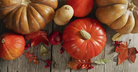 Rustic autumn harvest with assorted pumpkins and winter squash on weathered wood