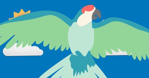 colorful parrot soaring in sky cartoon illustration - Download Free Stock Images Pikwizard.com